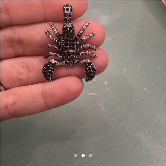 Scorpion - Picture 2 of 3